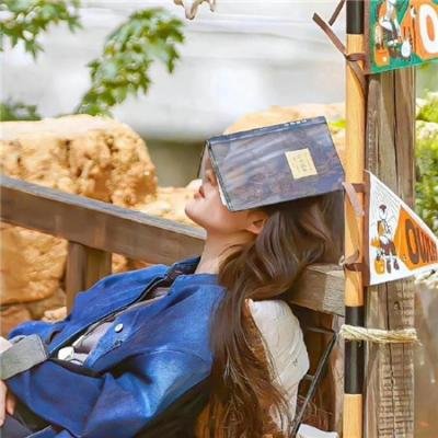 不可能完成的任务