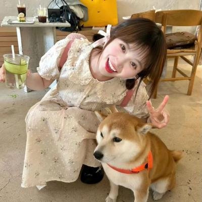 谎言的摇篮